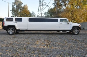 limousine (5)