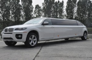 limousine (12)